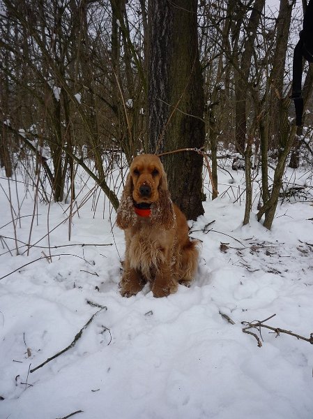 hon_konopiste (80).jpg